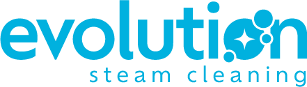 Evolution Steam Cleaning