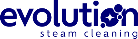 Evolution Steam Cleaning